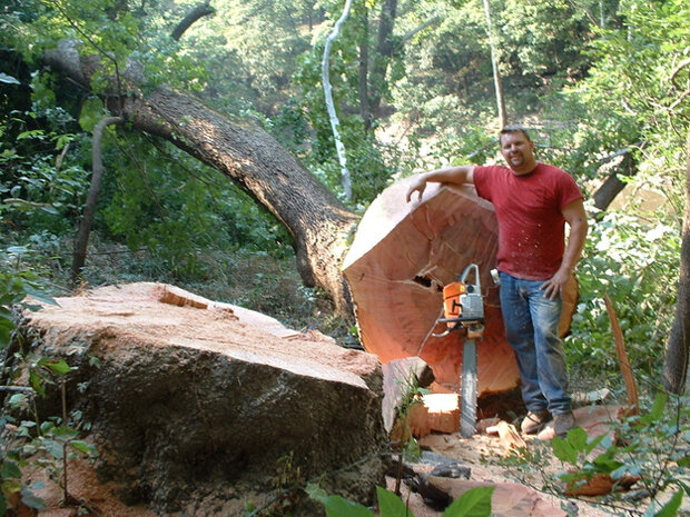 1. Вальщик леса. Эта работа связана с высотой, плюс ко всему работать приходится с цепными пилами и лесозаготовительной техникой. По данным статистики за 2008 году, 116 рабочих погибло — это на 100000 человек, задействованных в сфере.