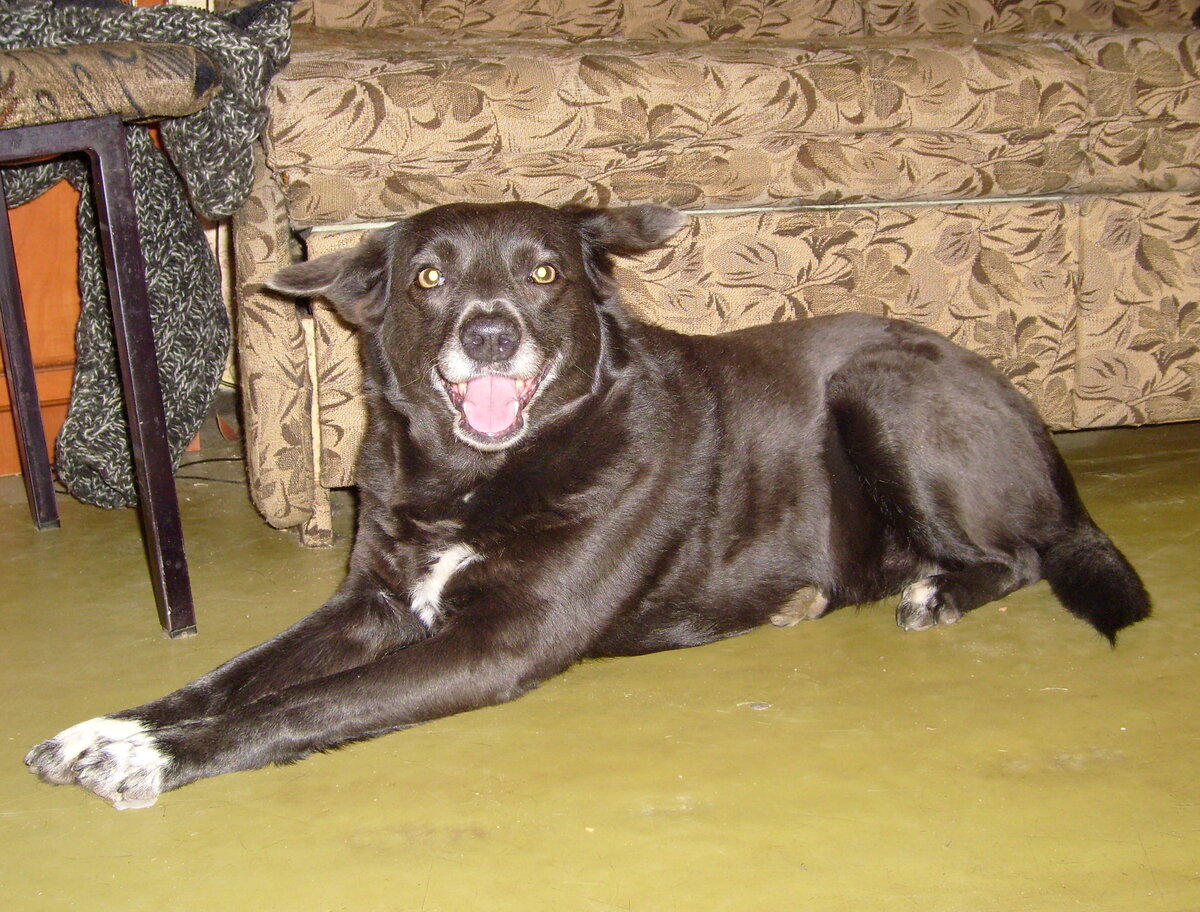 Нет у нас фото Эрика и Асты, поэтому будет Дося)