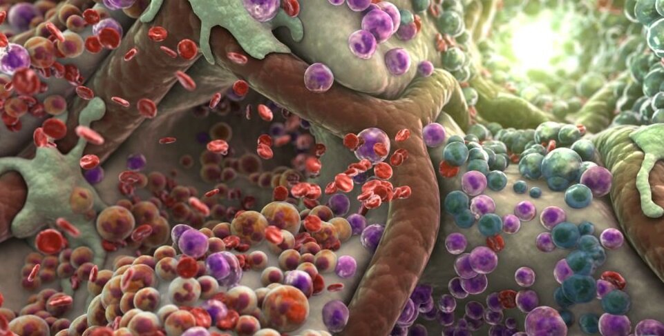 Вид токсинов в организме под микроскопом.