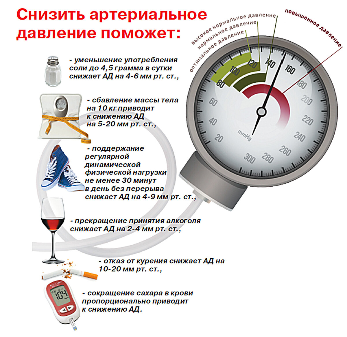 БЕРЕГИ СВОЕ СЕРДЦЕ | РИА 