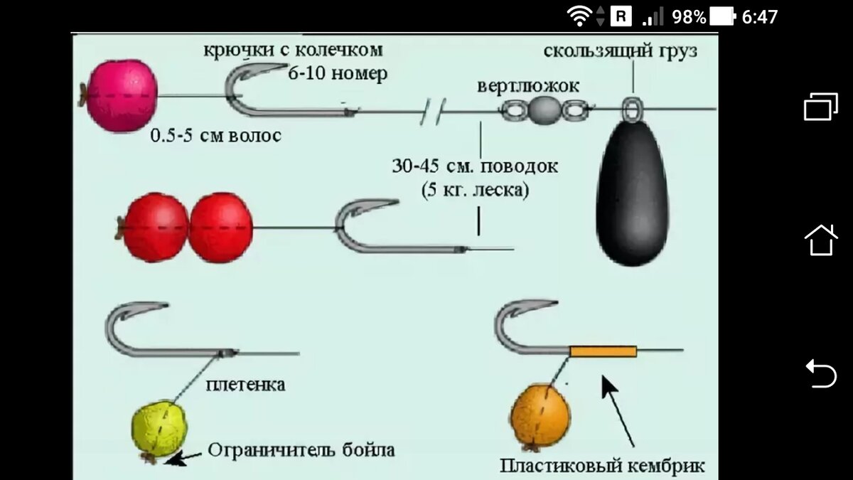 Волосяной монтаж, схема бойла, размер насадки для рыболовного крючка