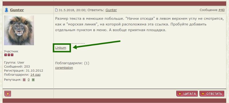 Пример размещения ссылки в подписи на форуме
