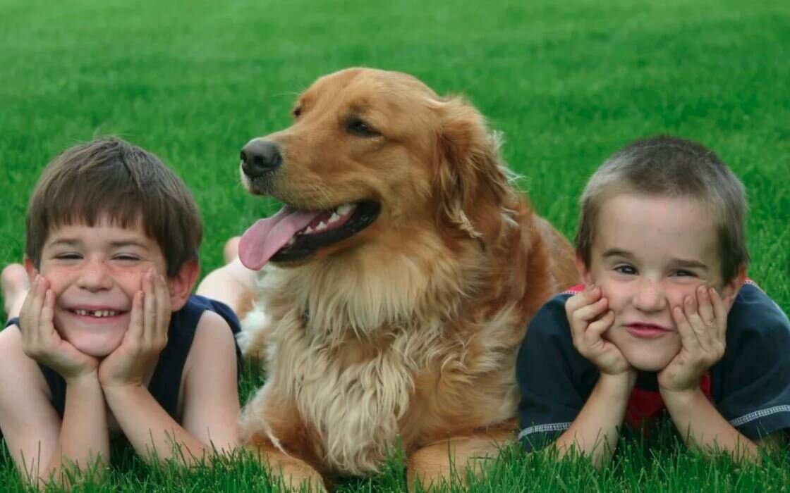 Ребенок не любит животных. Собака для детей. Собаки дружелюбные к детям. Дети с животными. Собака друг человека.