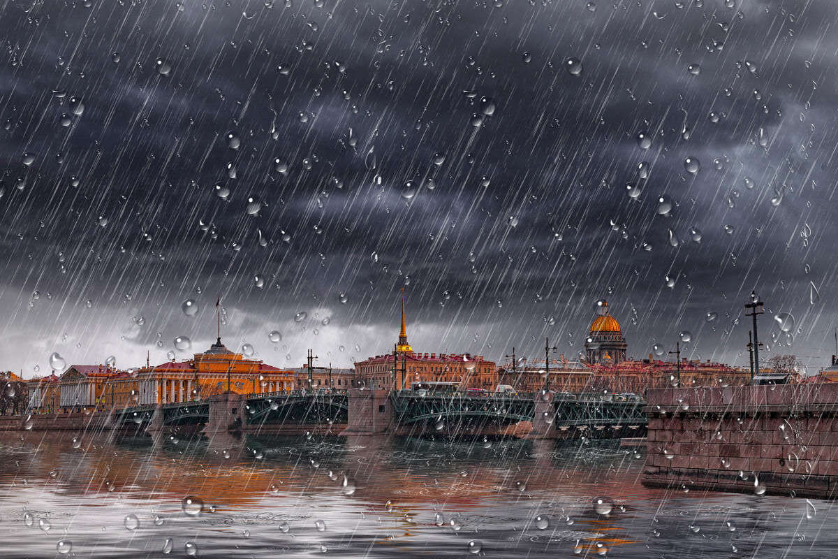 Дождливый петербург картинки