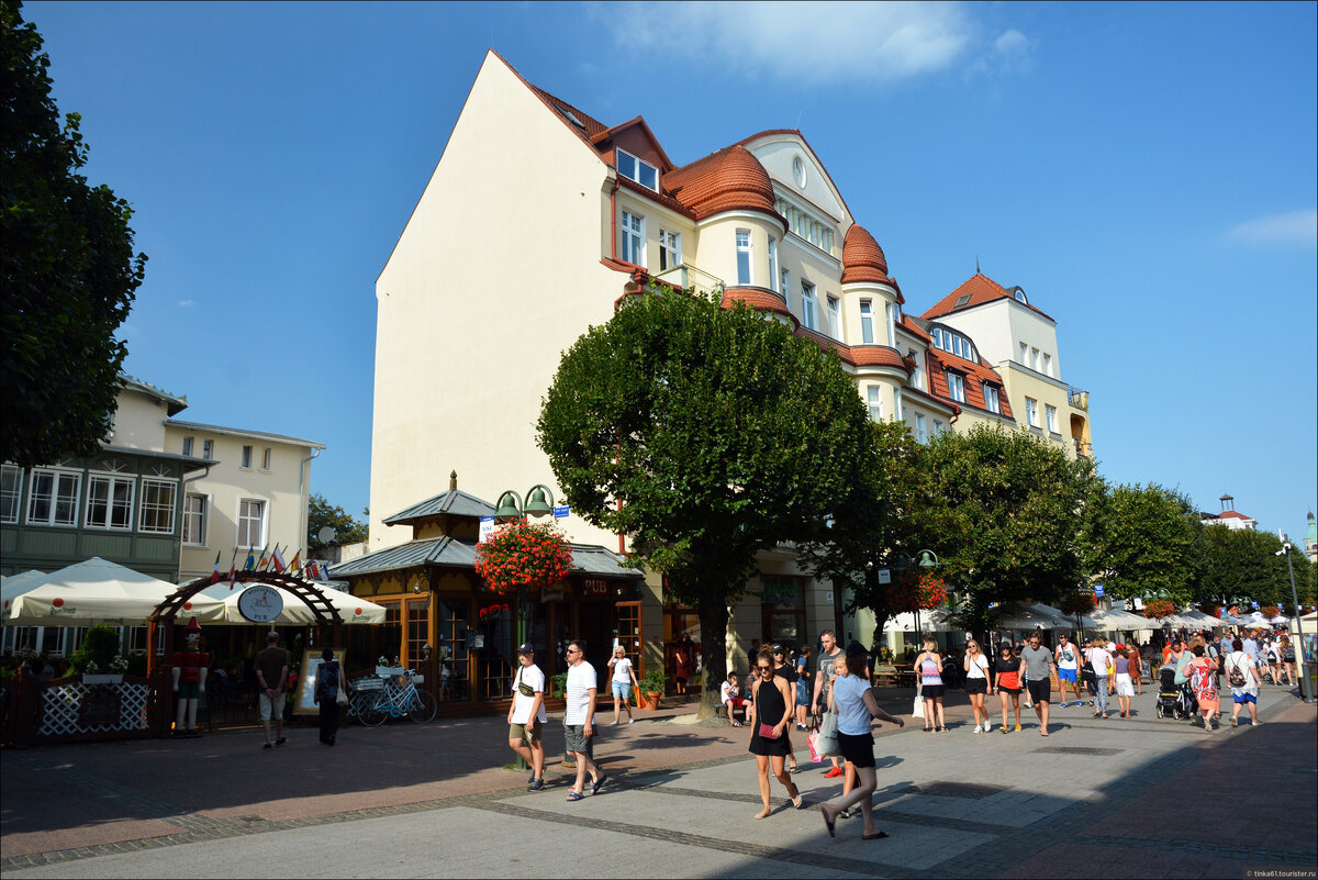 фото из интернета.