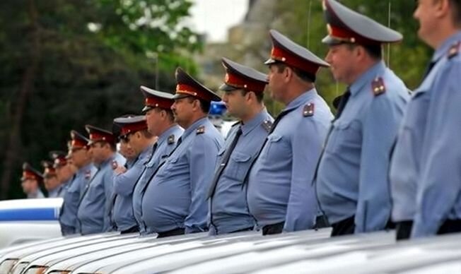 Наши толстячки