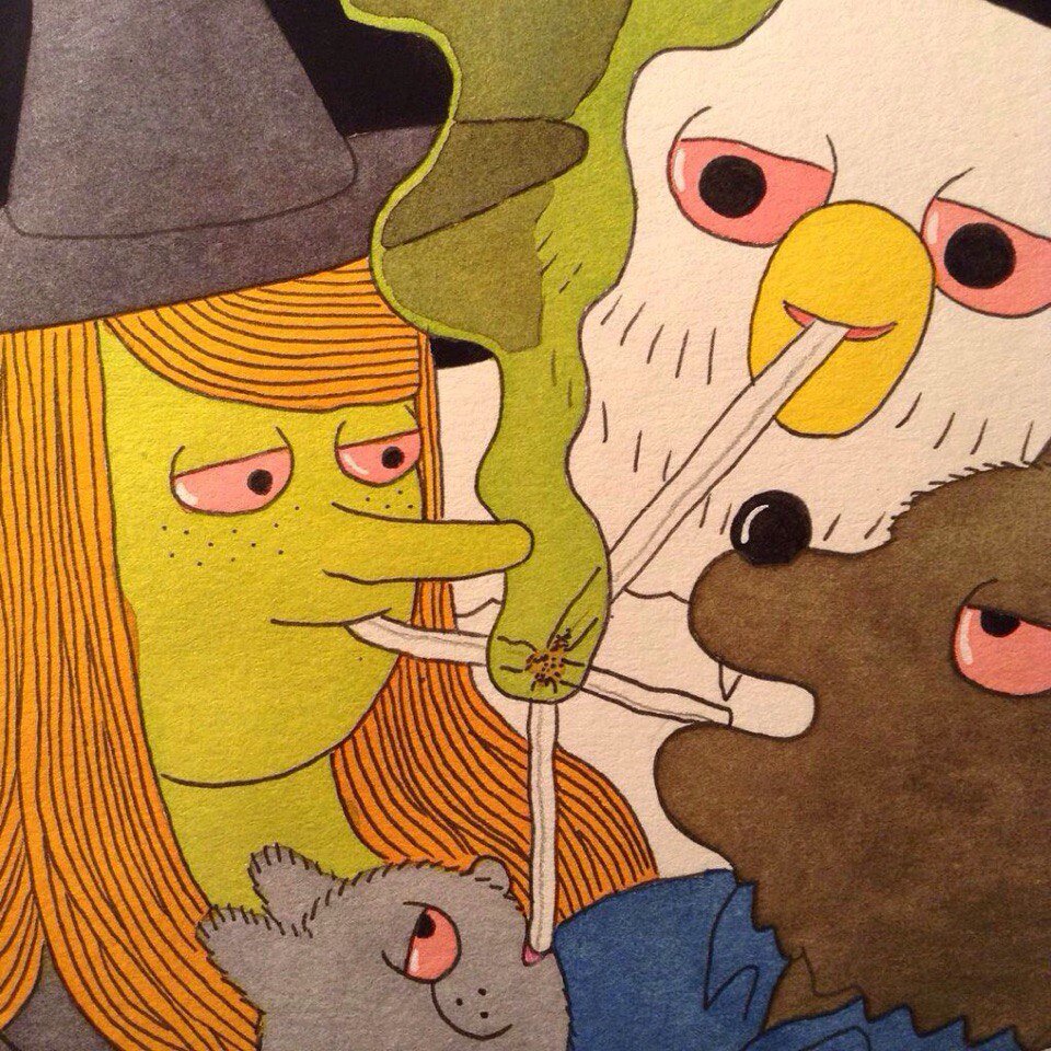 Фото взято из открытого источника