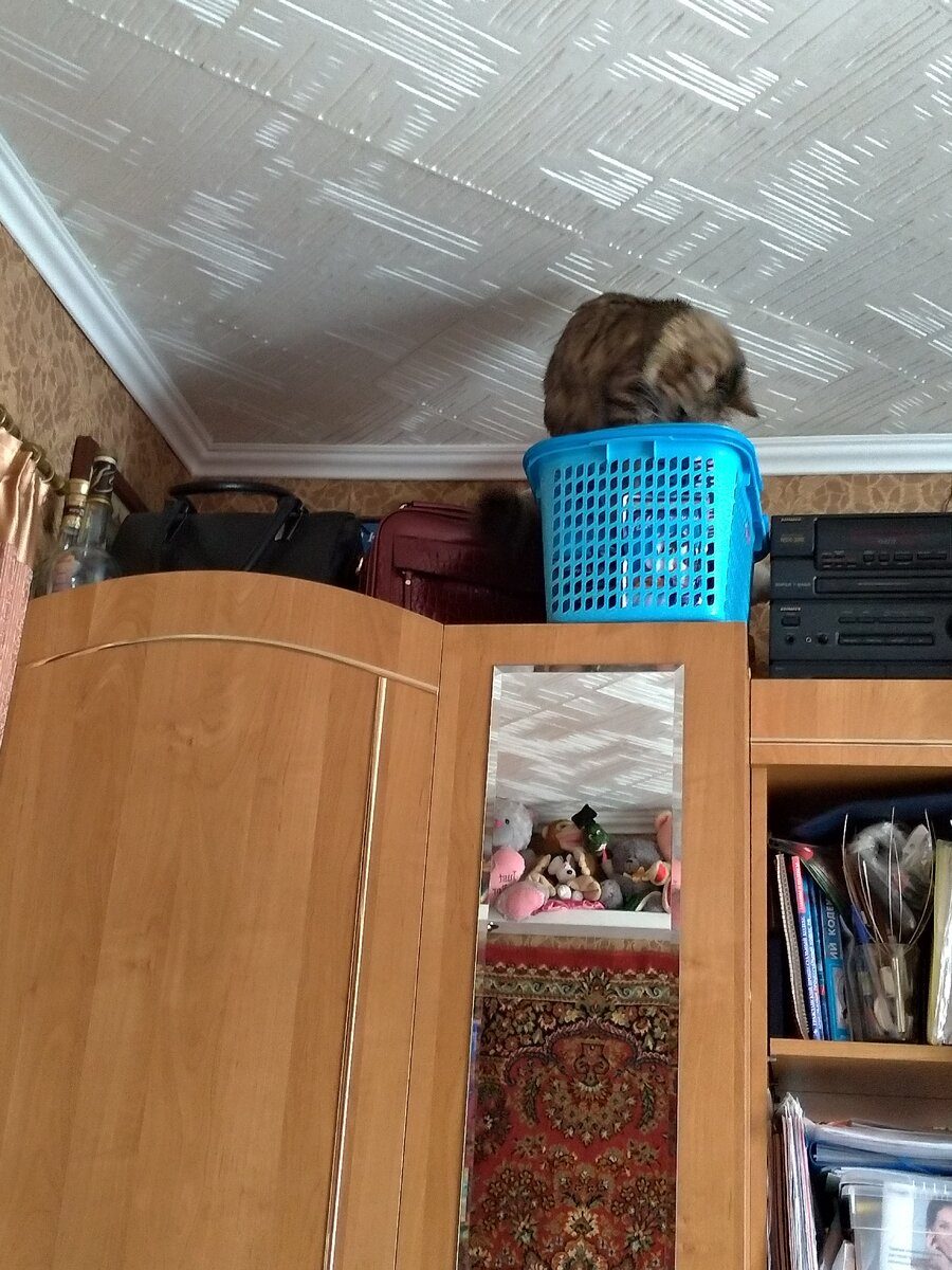 "Зачем ты это делаешь?"