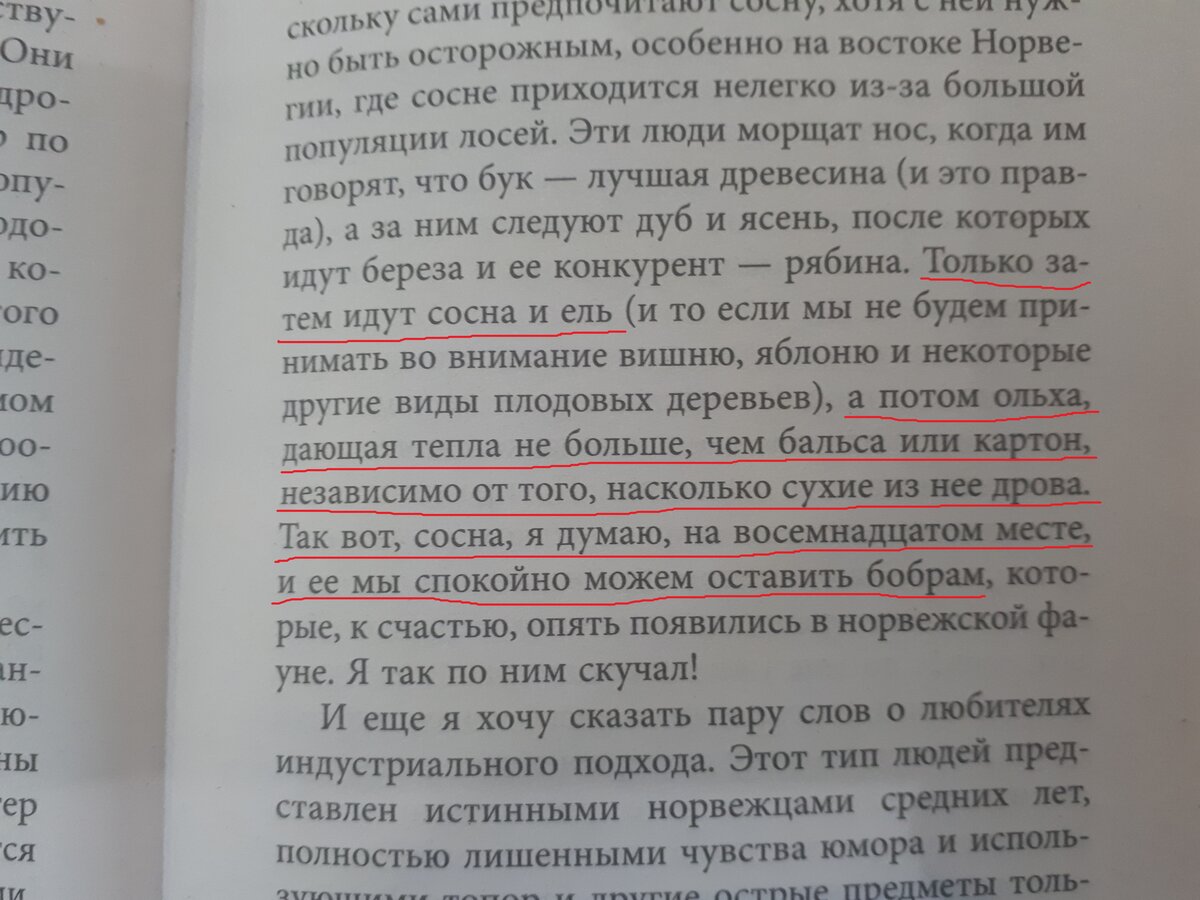 Сосна на восемнадцатом месте, а потом уже ольха!