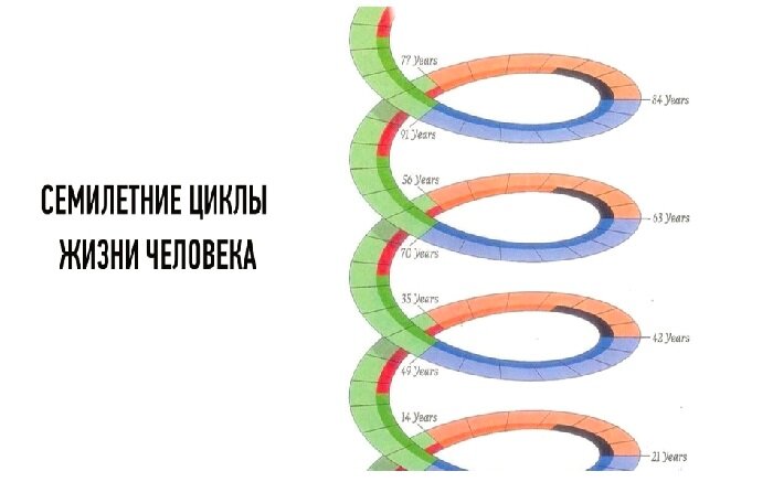 Лунные циклы в 2024 году. 12 Тысяч лет цикл. Дневной энурез и лунные циклы. 7 Летние биологические циклы. 14 Летний цикл по Луне.