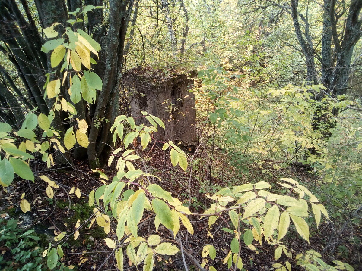 Крупно повезло  Нашли кучу бункеров в лесу