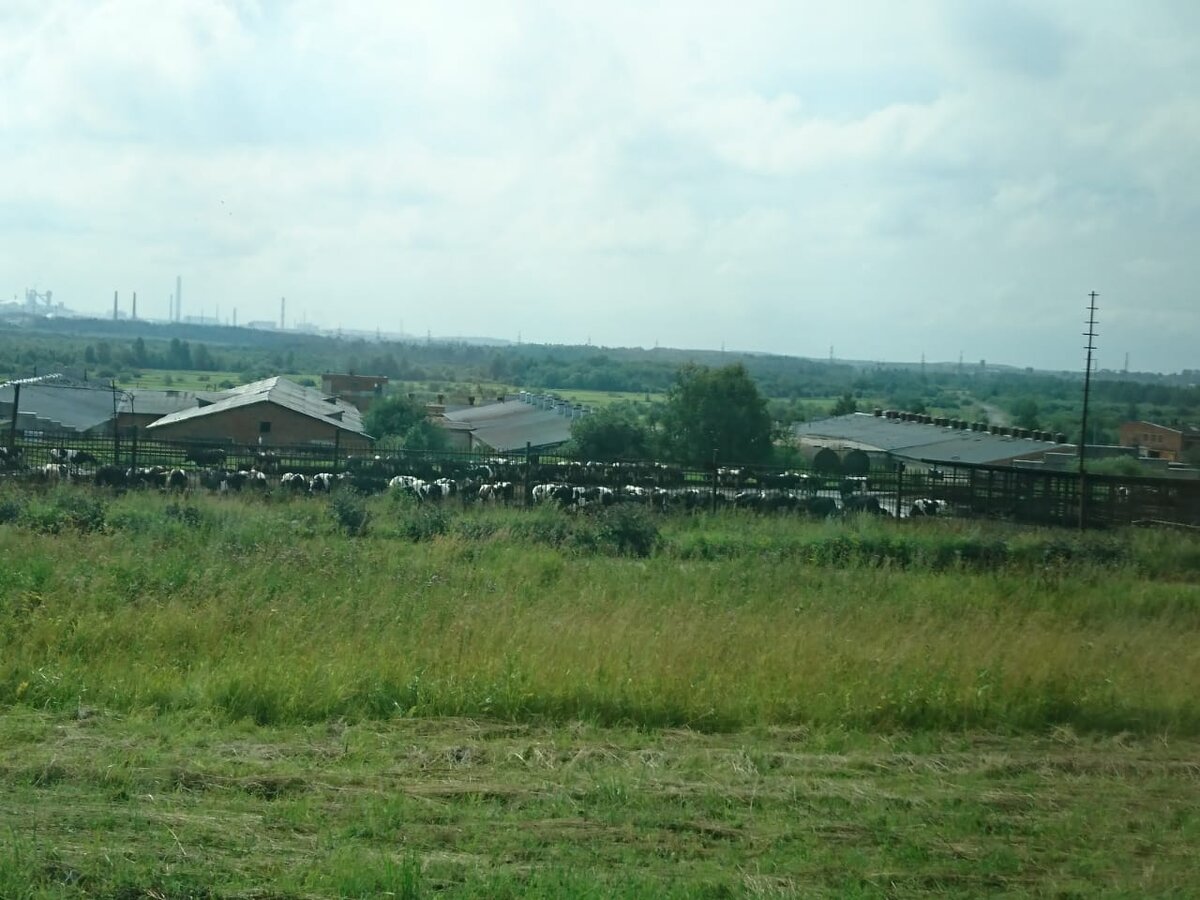 Череповец дымит