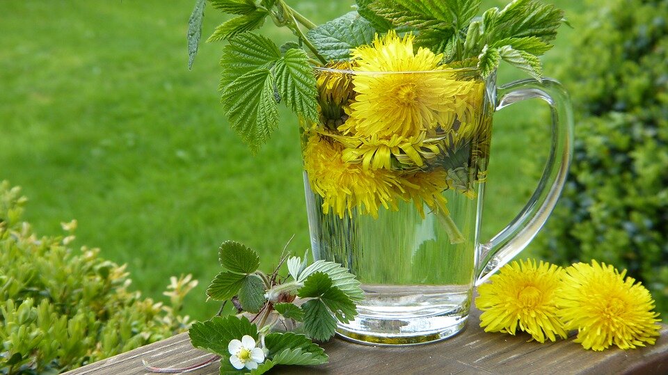 https://cdn.pixabay.com/photo/2017/04/15/15/10/dandelion-2232626_960_720.jpg
