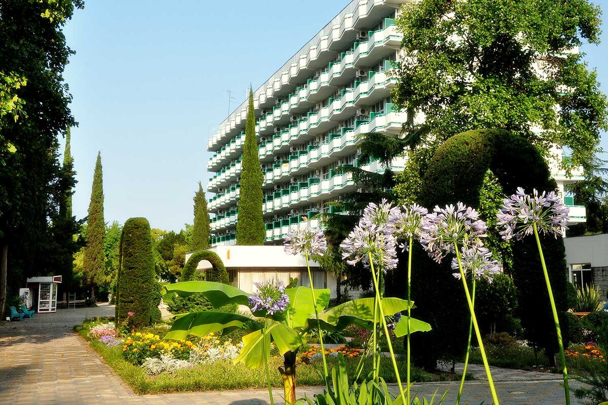 Источник фото: https://yandex.ru/images/