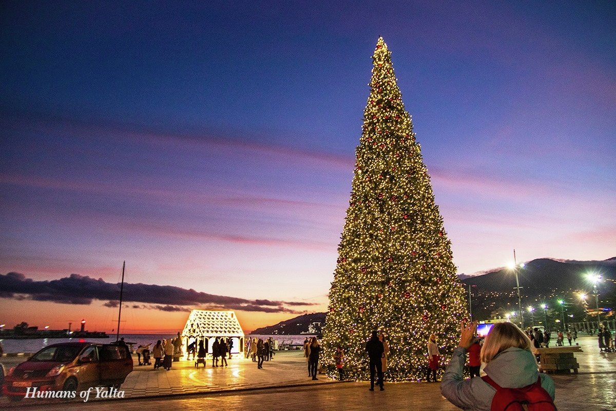 Ёлка на набережной Ялты / Фото: Андрей Бурдейный
