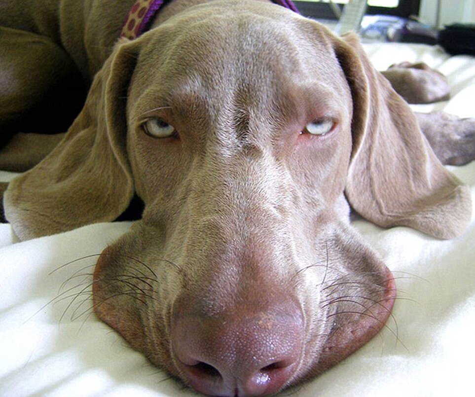 Пожалуй утро каждого человека начинается с такого взгляда