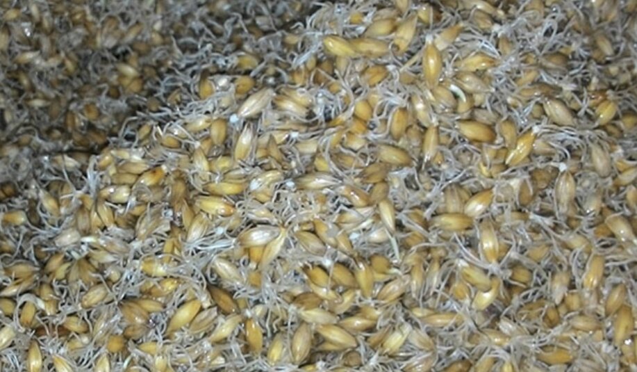 Фото взято из яндекс картинки