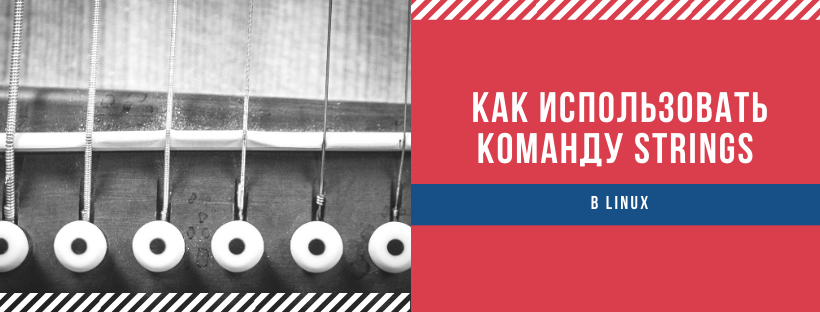  Как использовать команду Strings в Linux