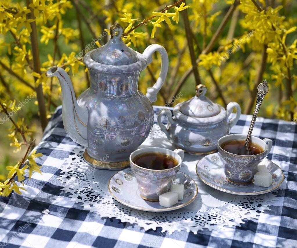 Elder tea. Чай на скатерти