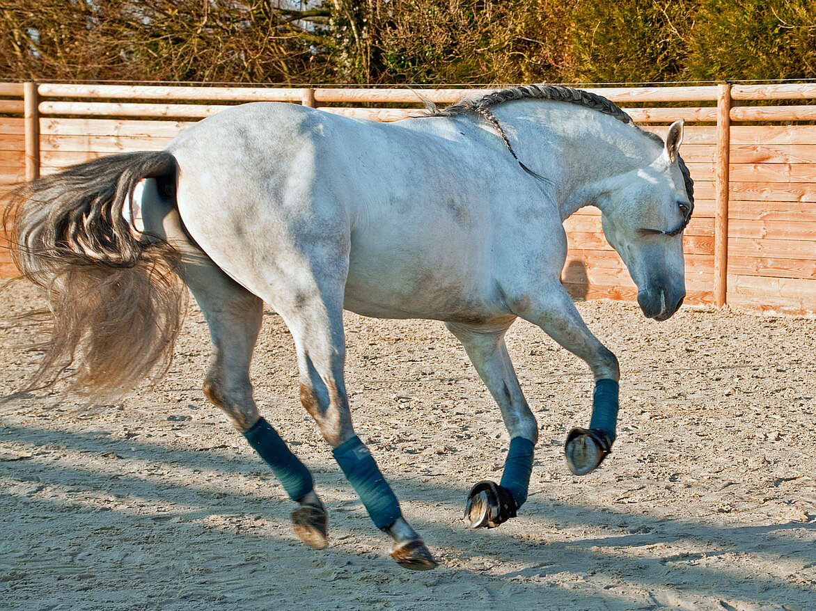 Источник: pixabay