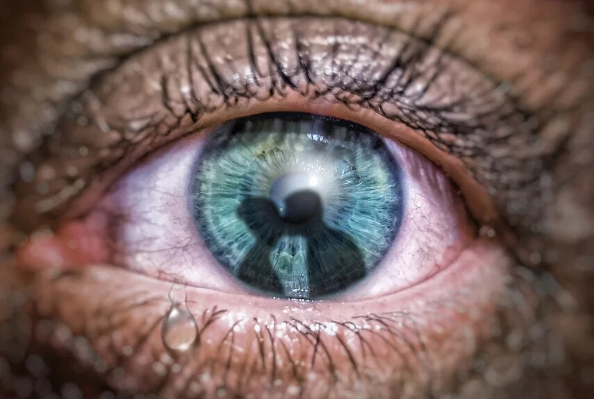 Фото: pixabay.com