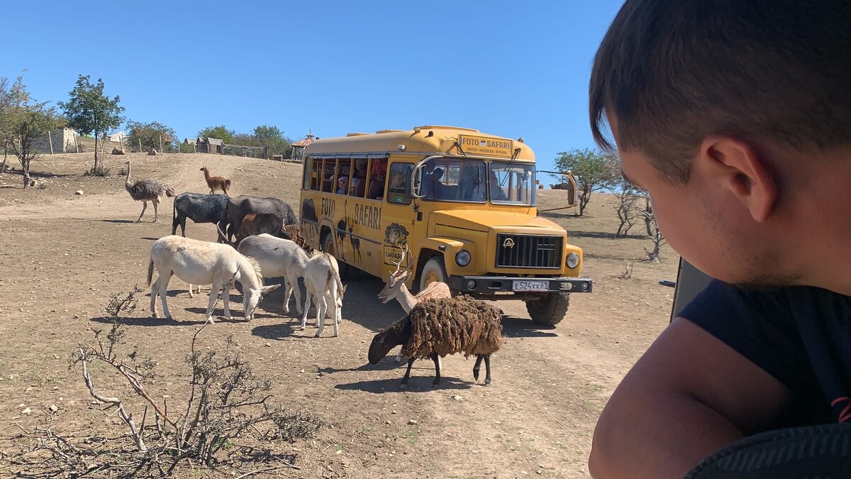 Экскурсию проводят на таких автобусах