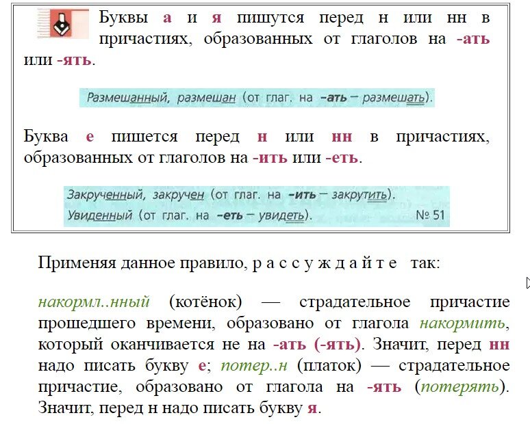 Школьное образование перестанет быть всеобщим? Учиться будут только способные или богатые