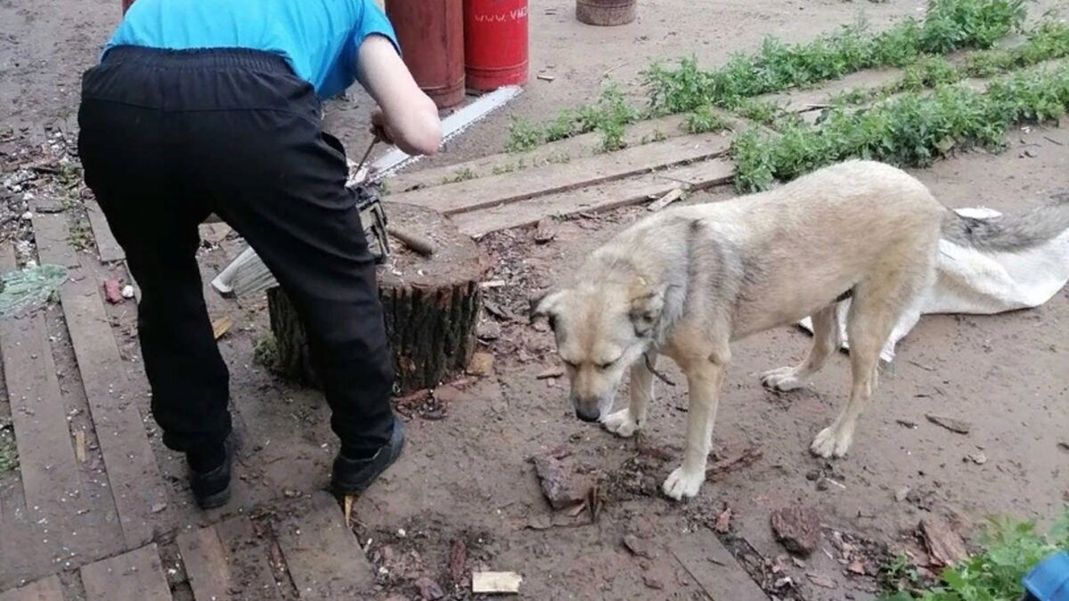 Контроль процесса работы... возле кухни