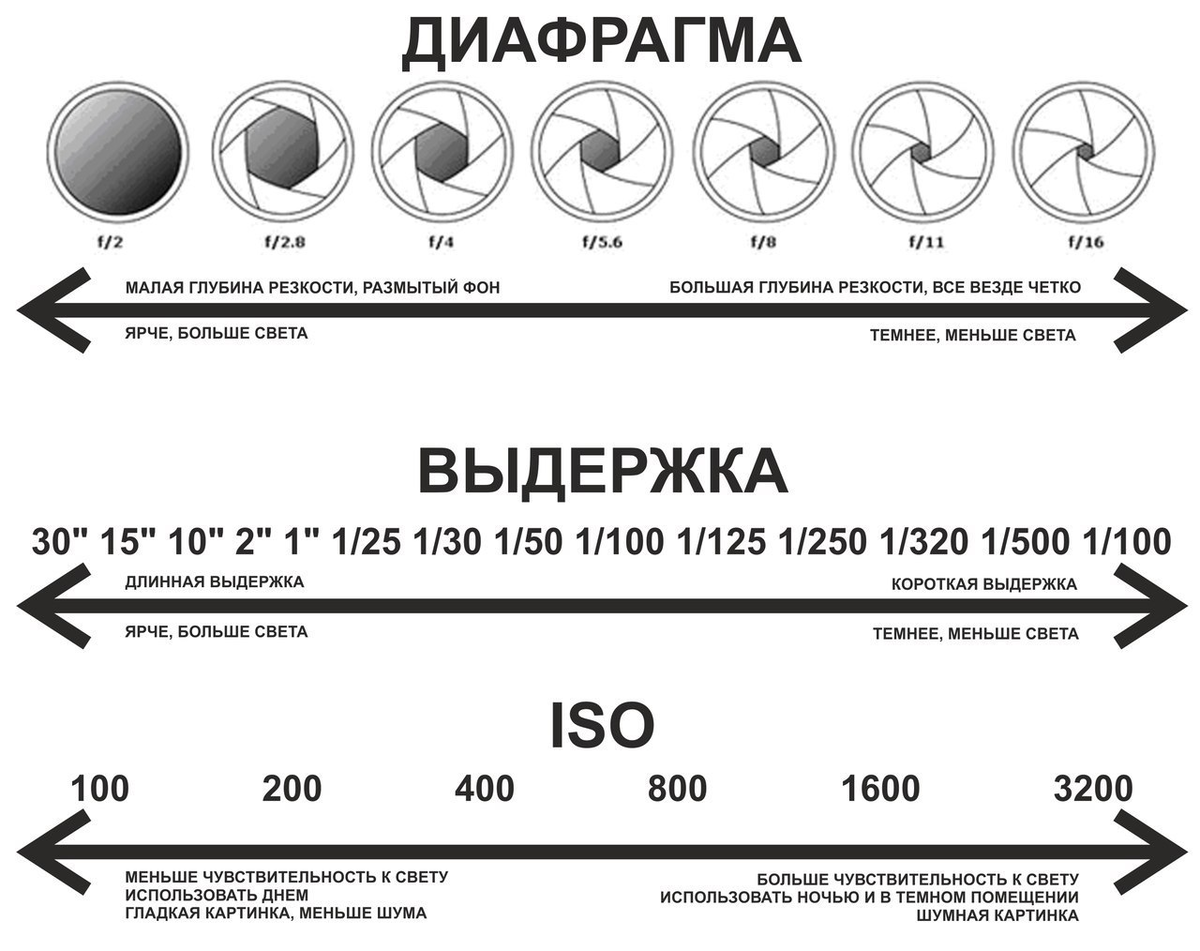 размер и численность членов признаки фото 115