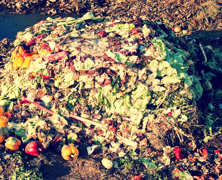 Органику нужно убирать