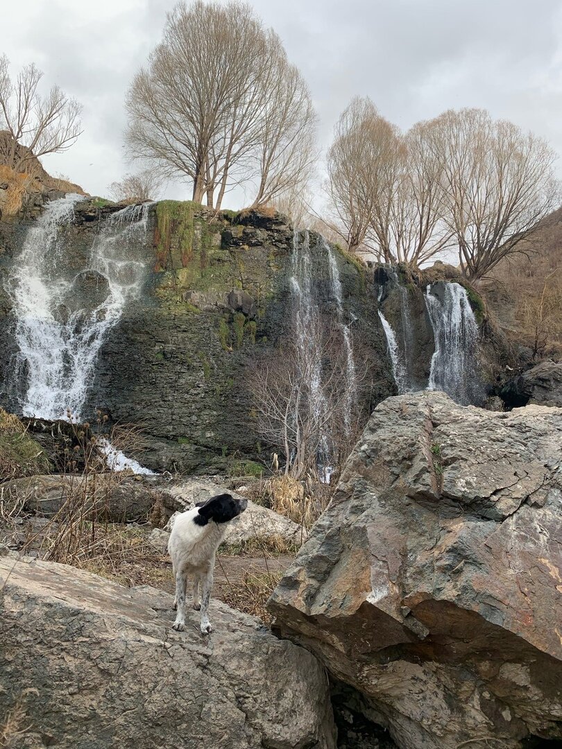 Водопад зимой? Легко!