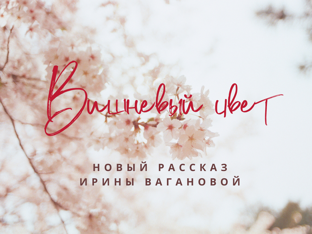 Вишневый цвет - рассказ Ирины Вагановой | Живи, люби, читай | Дзен