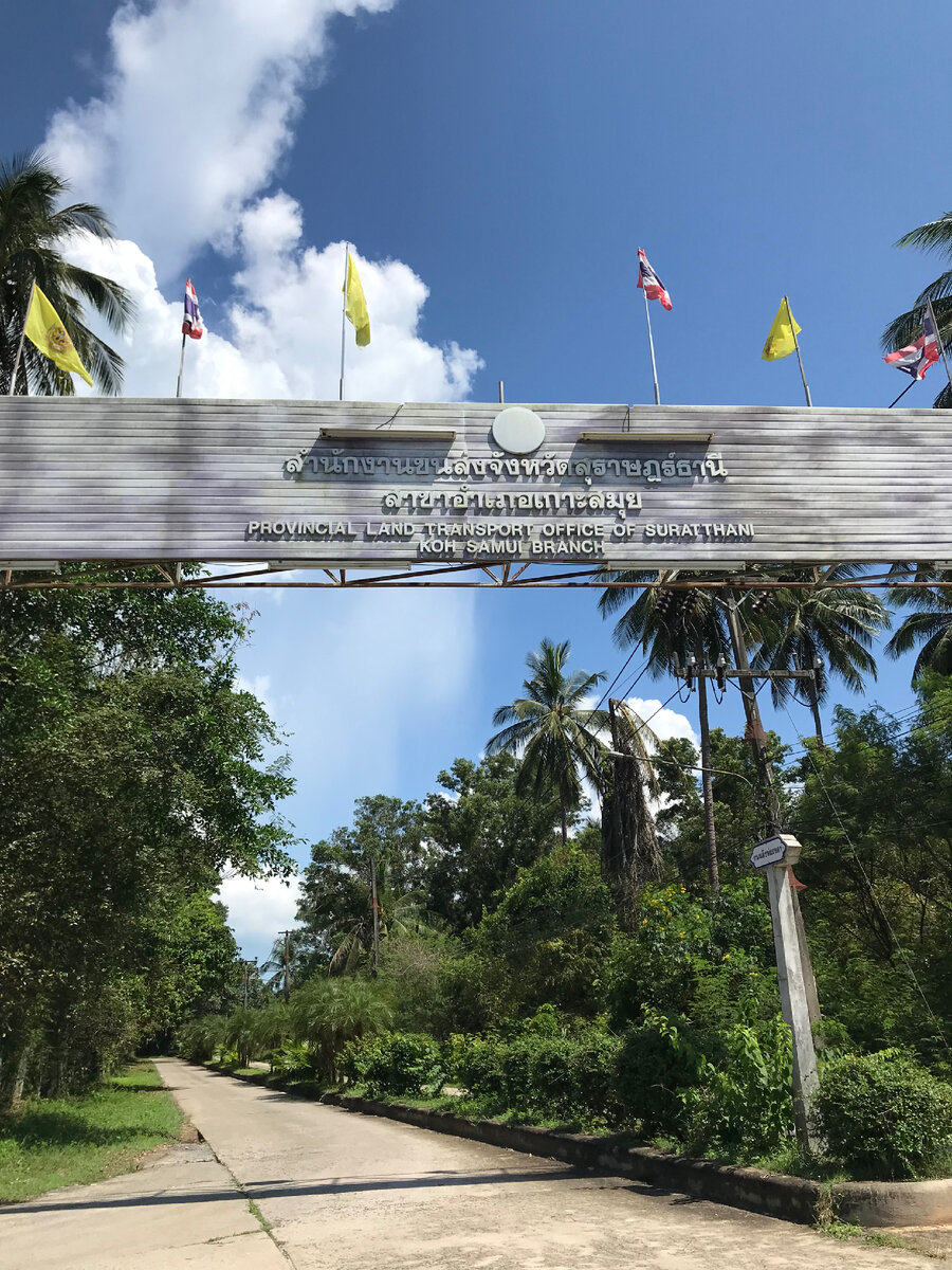 живописный въезд на территорию транспортного департамента