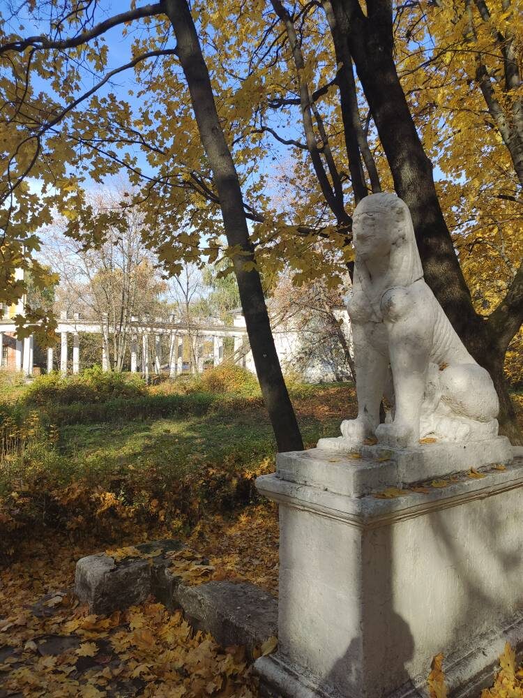 А вот и загадочные сфинксы