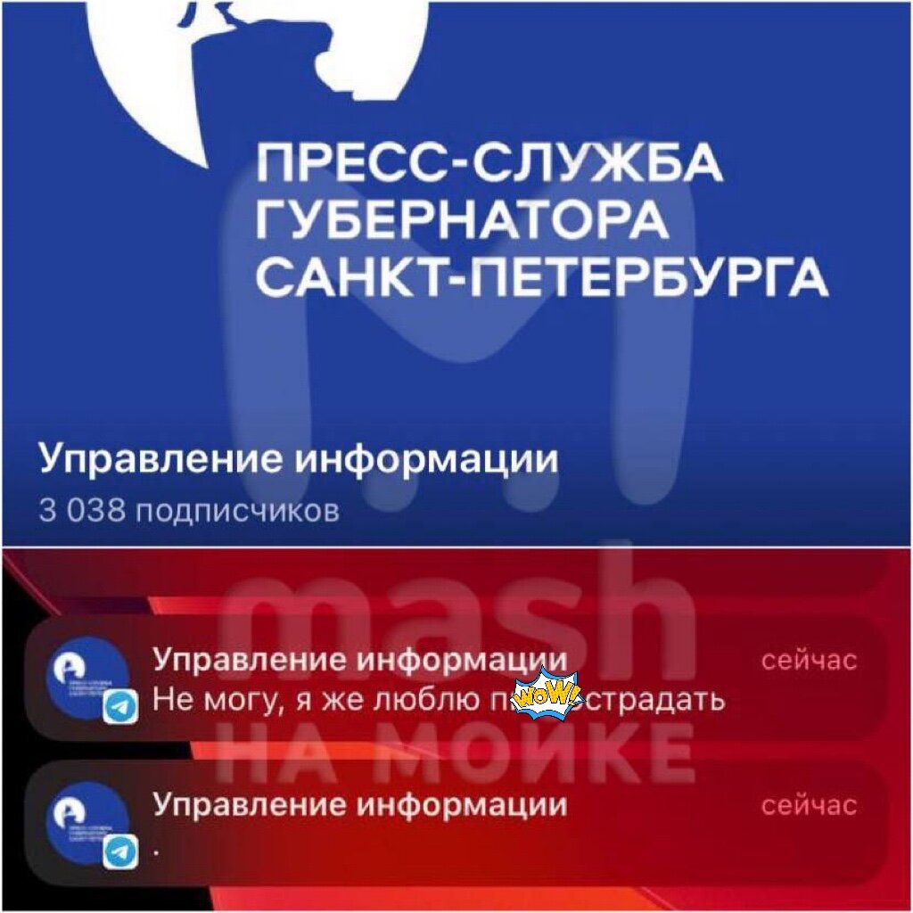 Фото: Mash на Мойке