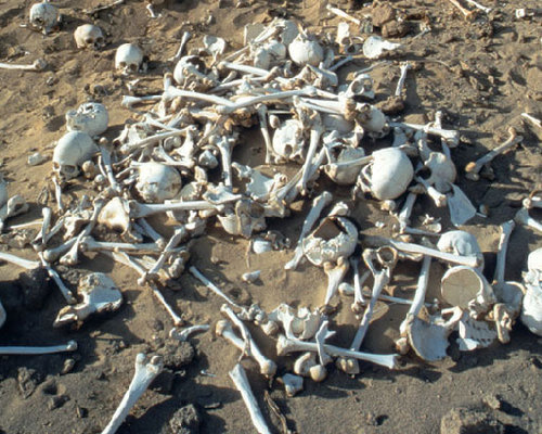 Итальянские археологи в пустыне Сахара обнаружили бесчисленное число человеческих костей и различных древних артефактов.