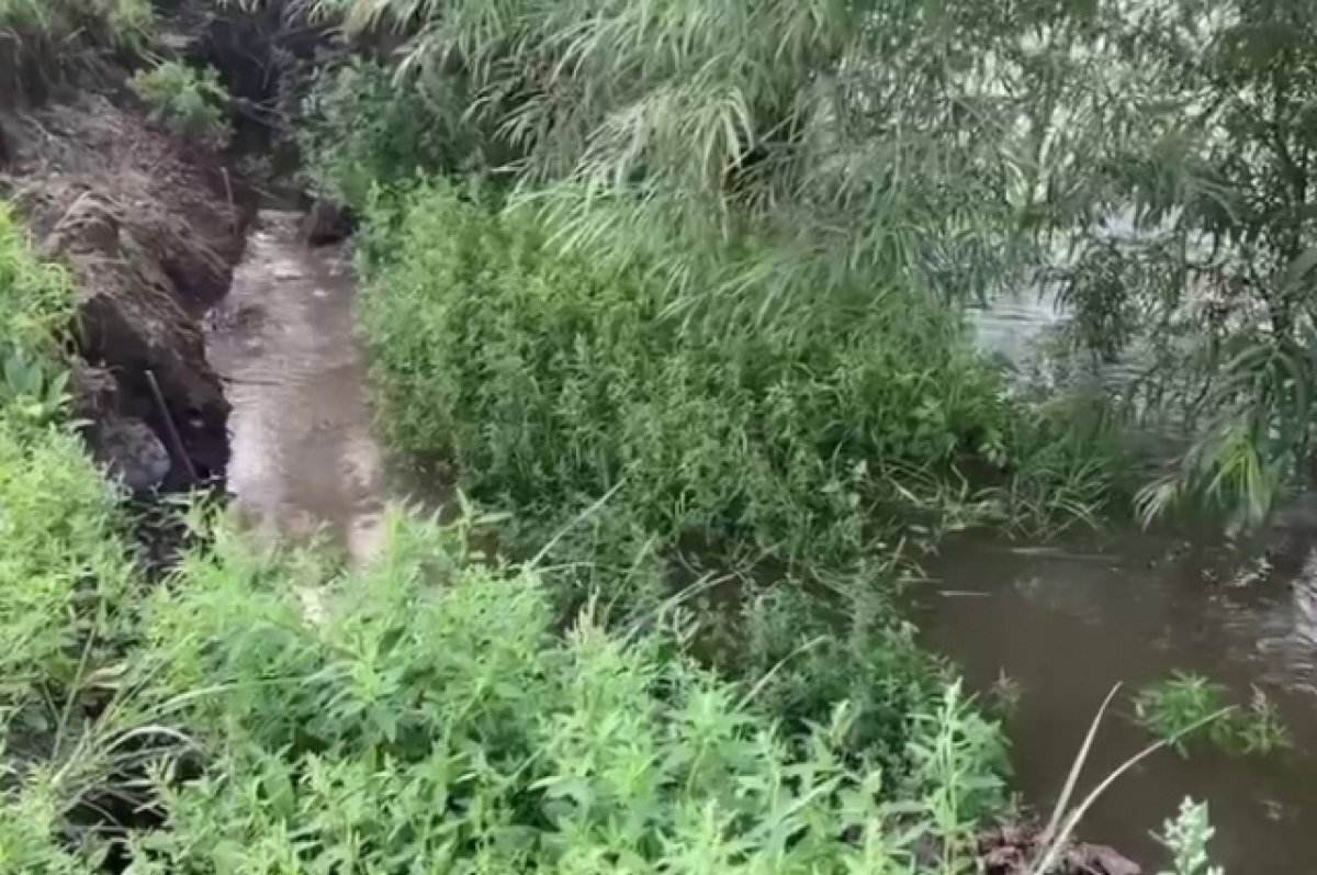    Из-за дождей в Монголии Селенга затопила 30 участков в Улан-Удэ