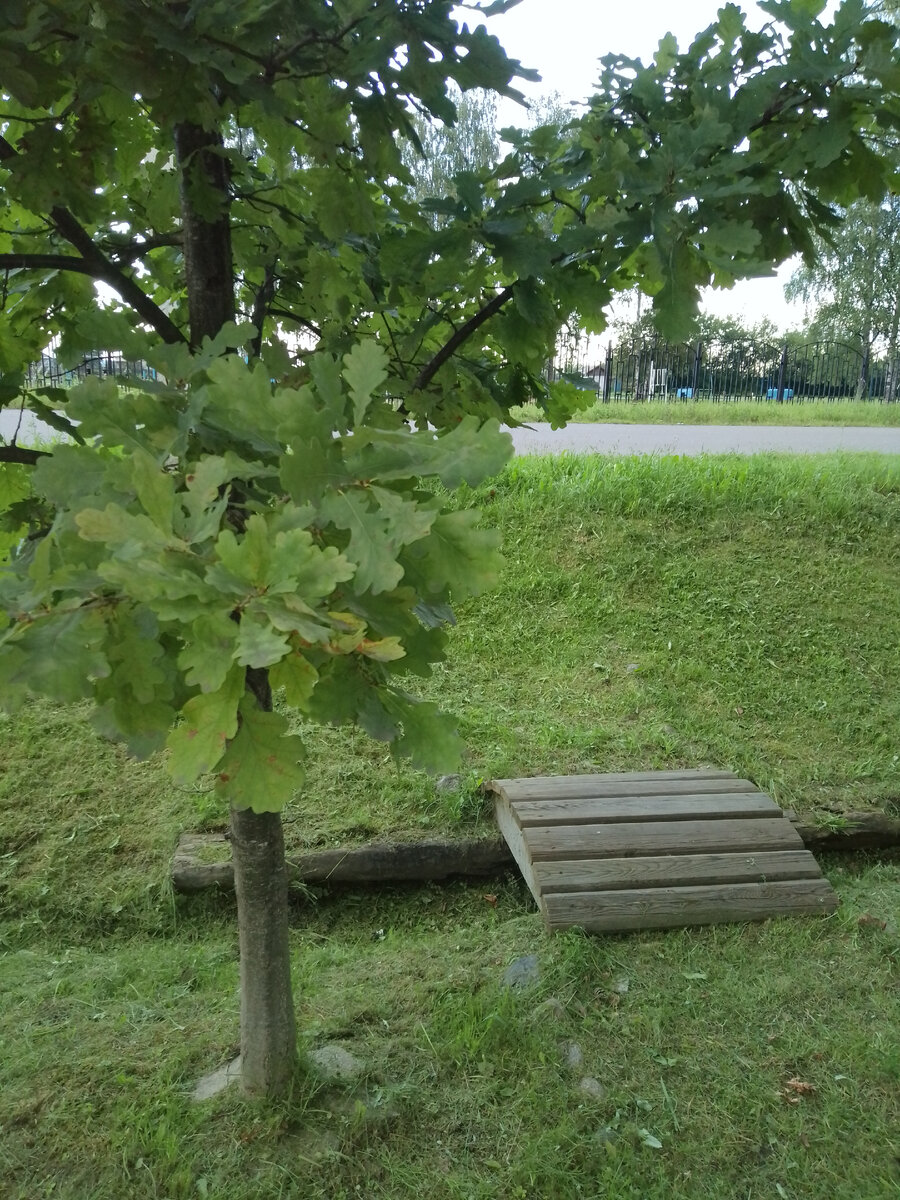 Здесь сделали интересный мостик.