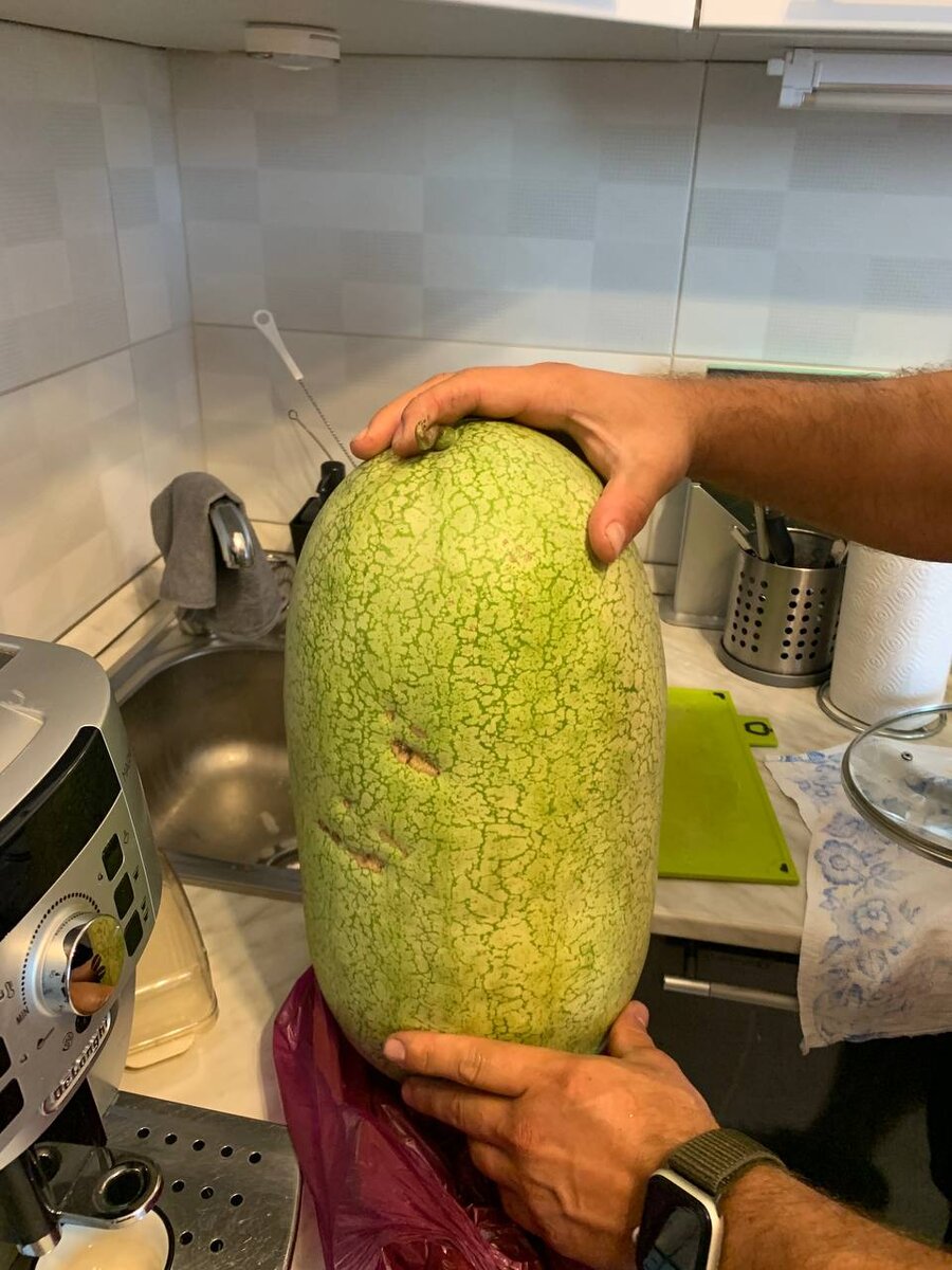 Видели такие арбузы?