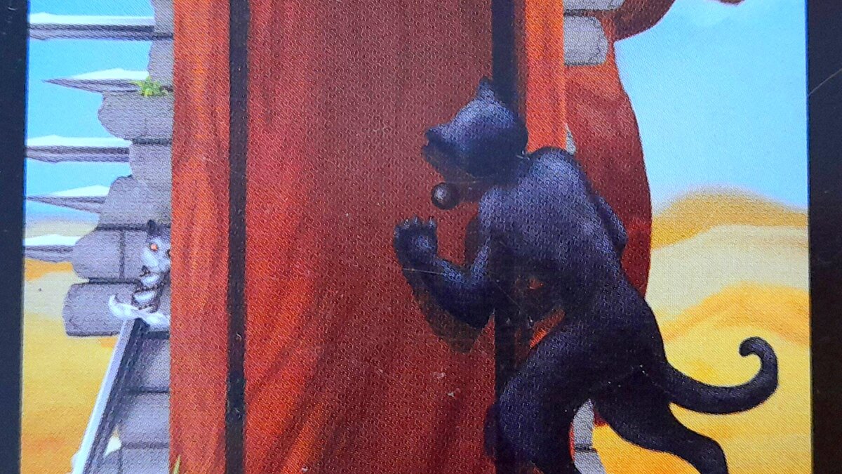 Не стучи, Котик, там только твои страхи