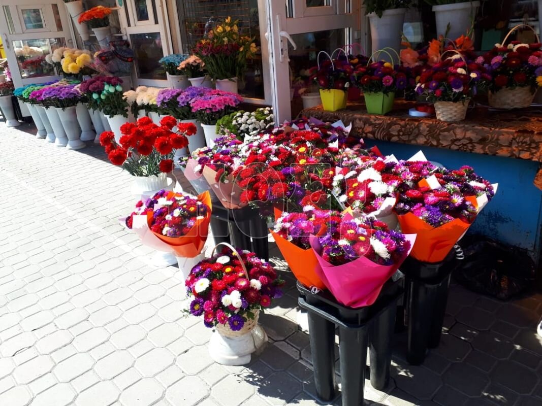    Фото: Оксана Писаненко