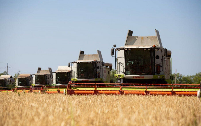    В Оренбуржье урожай зерновых убран с 66% площадей Марина Шарт