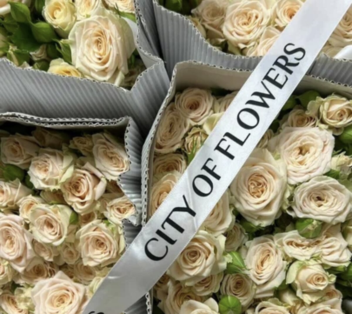 Все фото Автора канала.