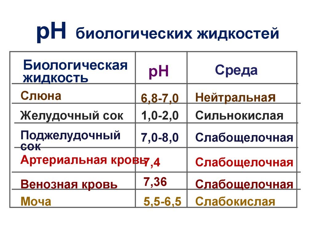 Щелочная диета: что это такое, списки продуктов и многое другое | Моя  Легкость | Дзен