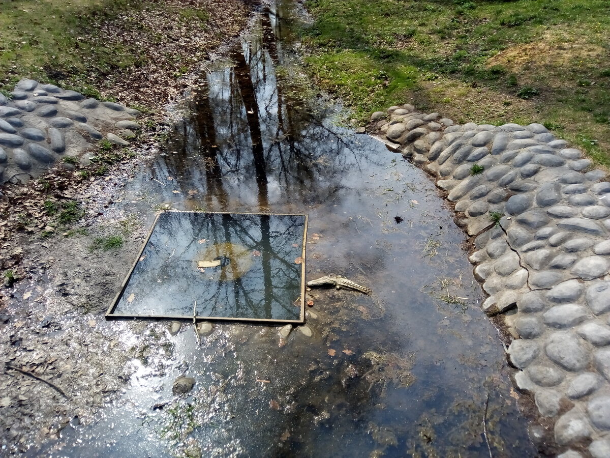 исток реки дон