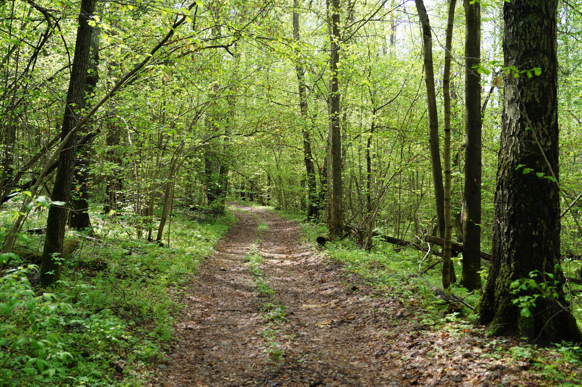 Дорога к счастью не всегда асфальтовая.