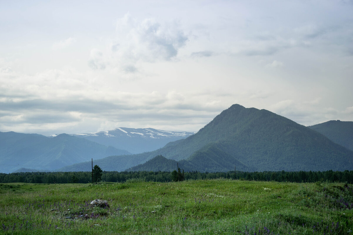 Уймонская долина на пути к Мульте. Эту гору туристы видят по несколько часов, и всё время кажется, что она уже близко. Такая иллюзия. 