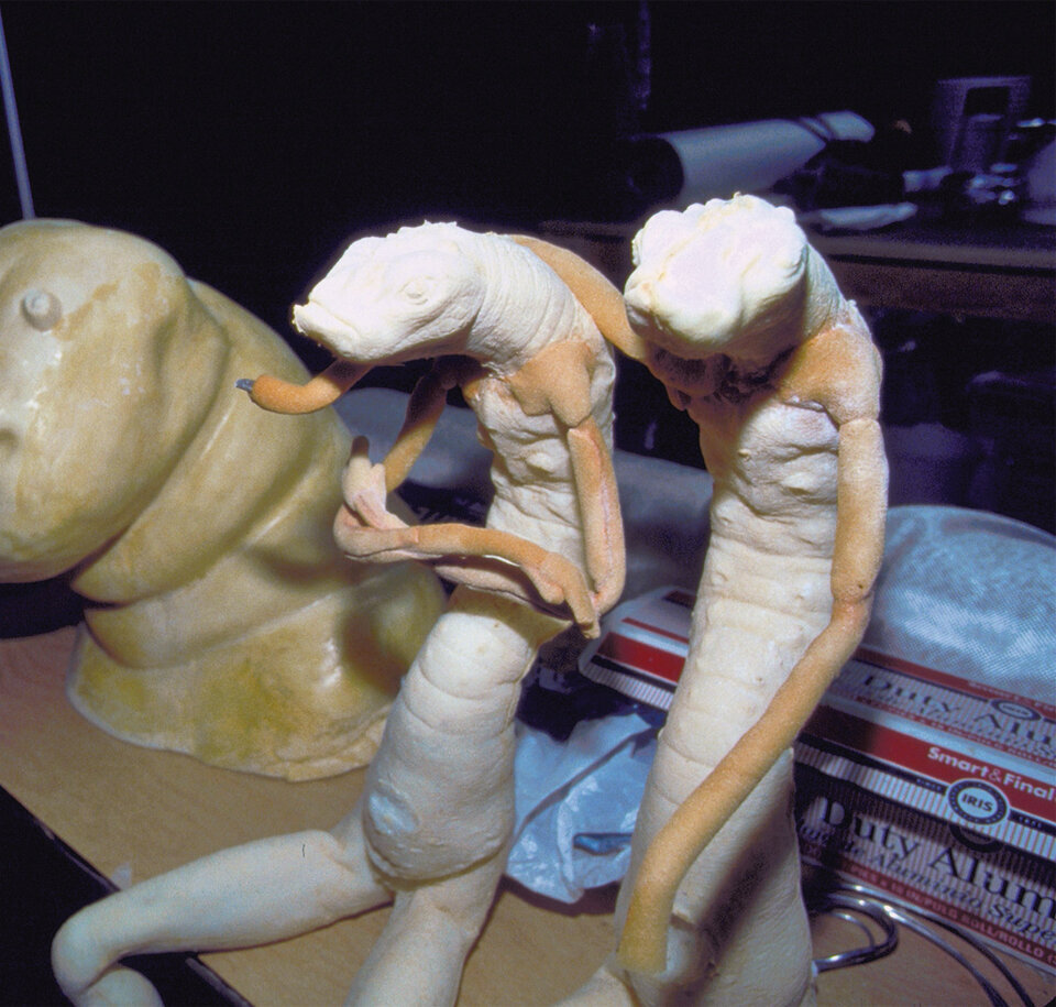 Черви в процессе создания.