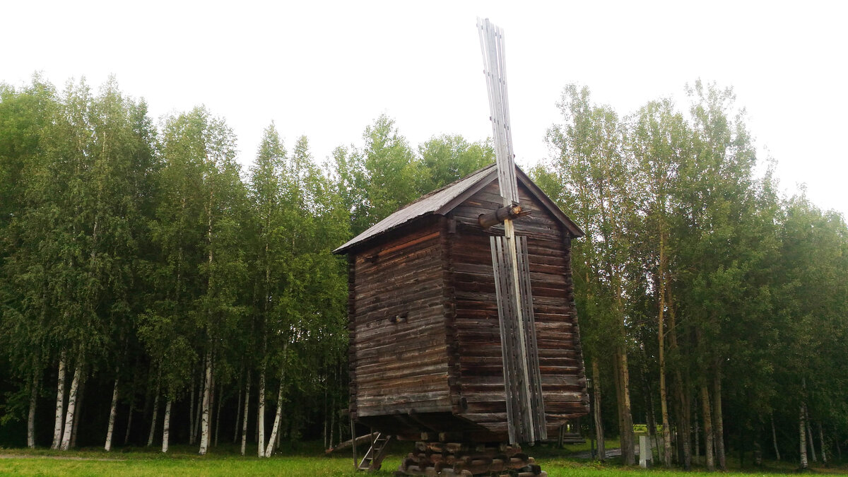 Малые корелы презентация