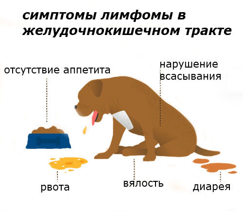 Невралгия у собак симптомы